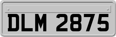 DLM2875