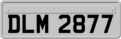 DLM2877