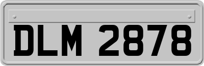 DLM2878