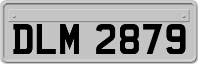 DLM2879