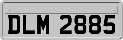 DLM2885