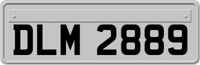 DLM2889