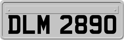 DLM2890