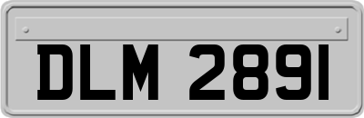 DLM2891