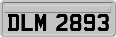 DLM2893
