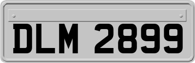 DLM2899