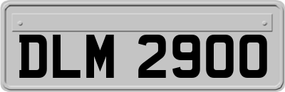 DLM2900