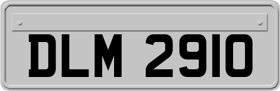 DLM2910
