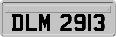 DLM2913