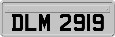 DLM2919