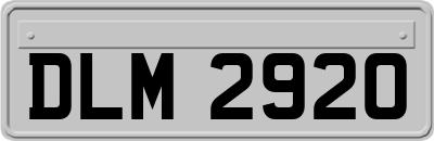 DLM2920