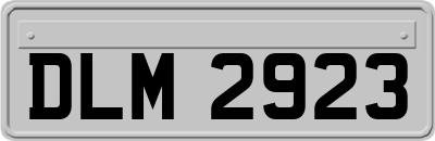 DLM2923