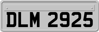DLM2925