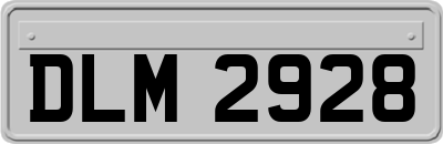 DLM2928