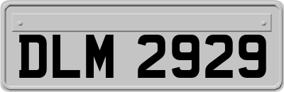 DLM2929