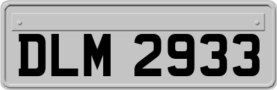 DLM2933