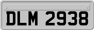 DLM2938