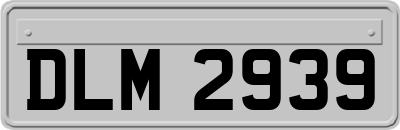 DLM2939