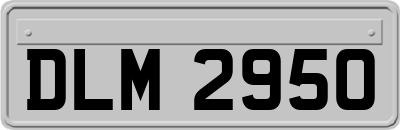DLM2950