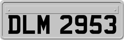 DLM2953