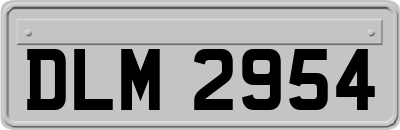DLM2954