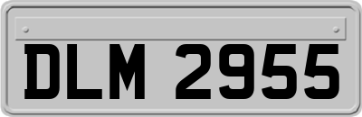 DLM2955