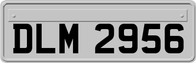 DLM2956