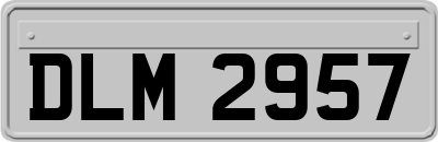DLM2957