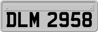 DLM2958