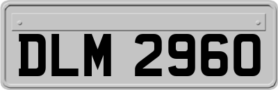 DLM2960