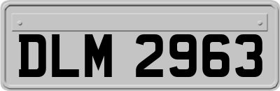 DLM2963