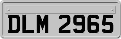 DLM2965