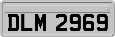 DLM2969