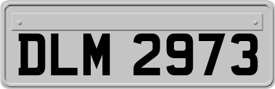 DLM2973