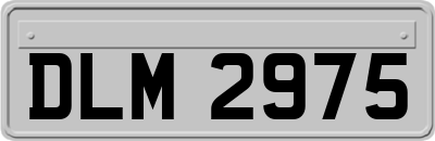 DLM2975