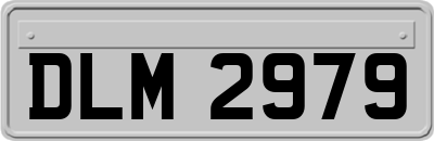 DLM2979