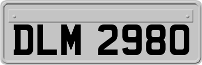 DLM2980