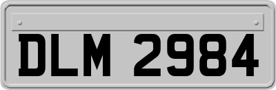 DLM2984
