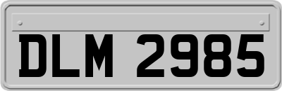 DLM2985