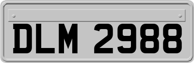 DLM2988