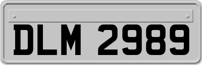 DLM2989