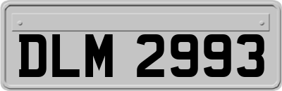 DLM2993