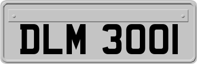 DLM3001