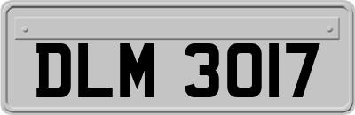 DLM3017