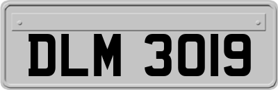 DLM3019