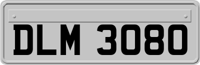 DLM3080