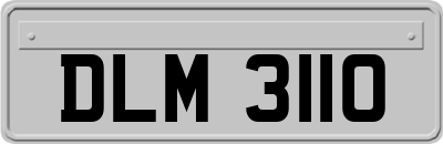 DLM3110