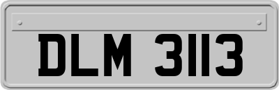 DLM3113