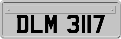 DLM3117