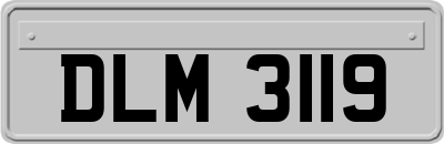DLM3119